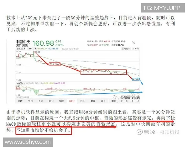重庆篮球队与杭州篮球队赛后技术分析与战术复盘探讨